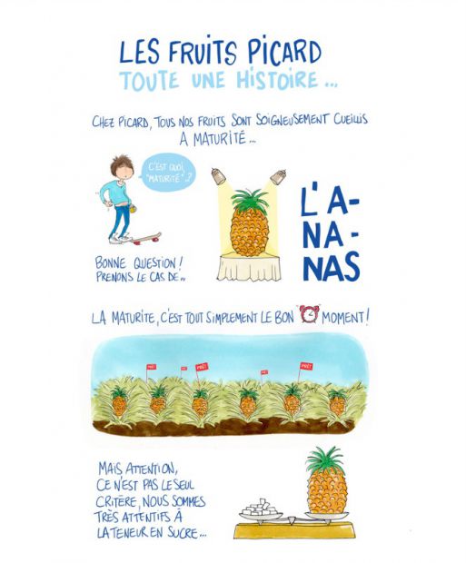 illustration cathy karsenty ananas.jpg - Cathy KARSENTY | Virginie